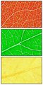 Triptych Outake