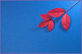 Red, Light, & Blue