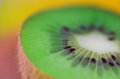 Kiwi Triptych