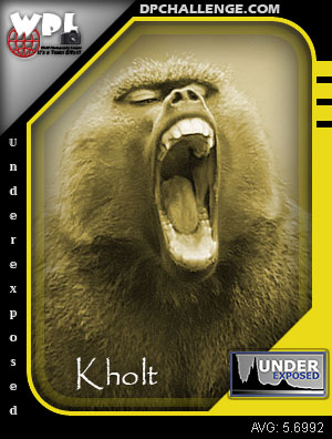 Kholt