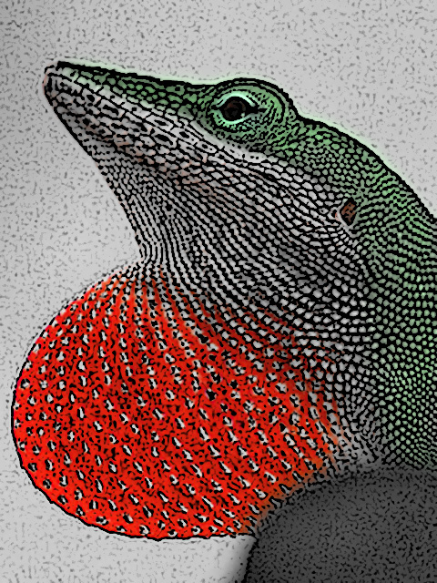 Singing Lizard [digital art version]