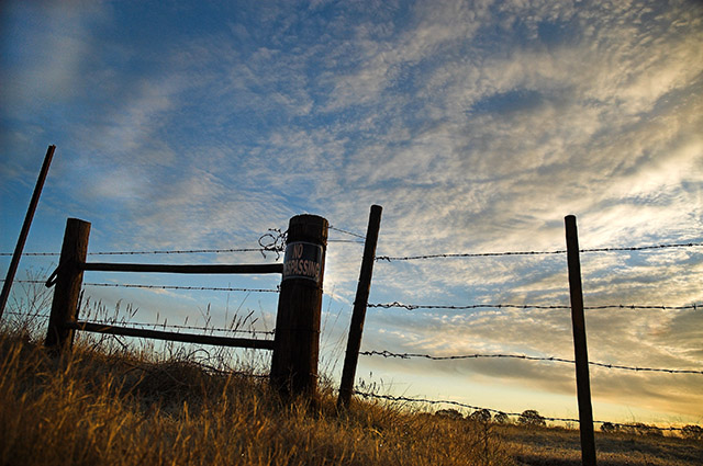 Free Study IX - Fenced In Sunrise