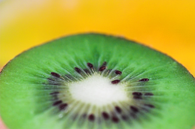 Kiwi Triptych