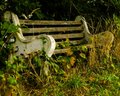 Abandoned