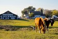 Scenic Route 66