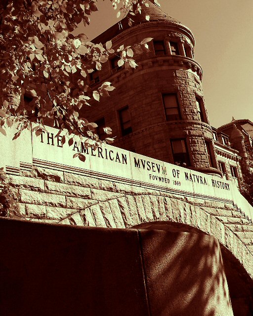 American Museum of Natural History