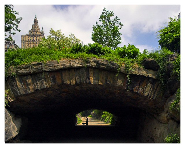 Central Park & Manhattan