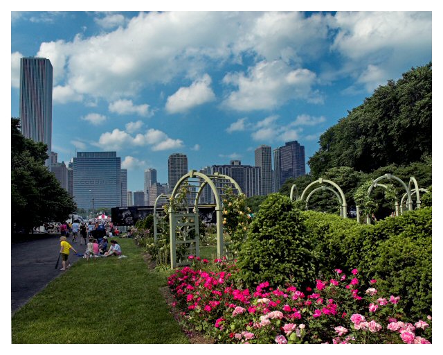 Chicago's Grant Park