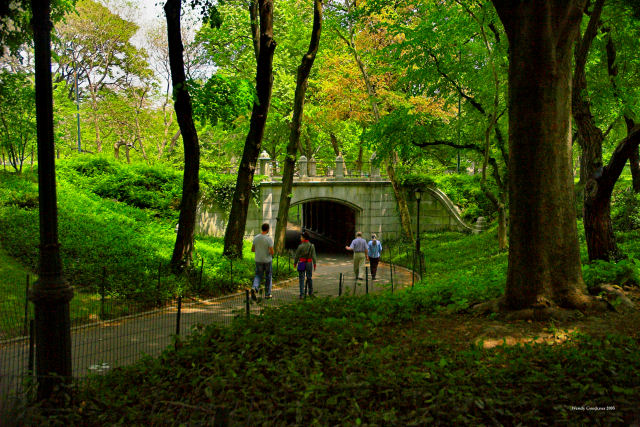 A Walk in Central Park