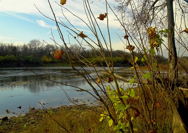 Autumn Stragglers