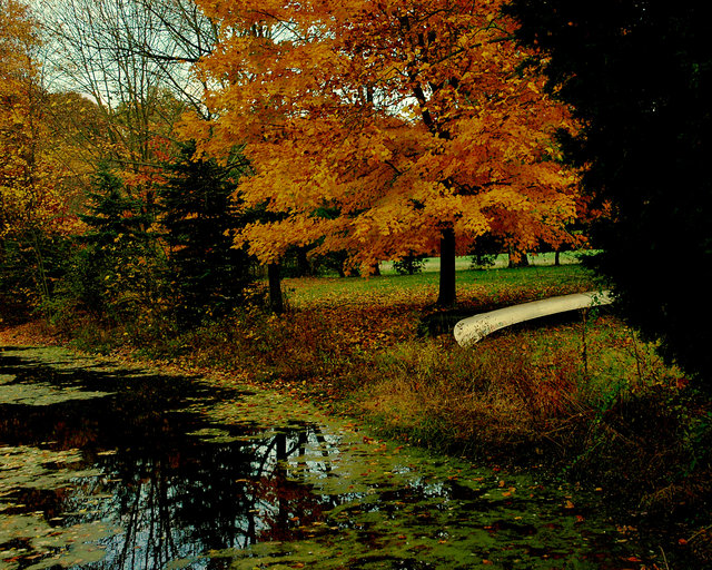 Autumn Pond