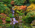 Japanese Gardens