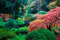 Japanese Gardens