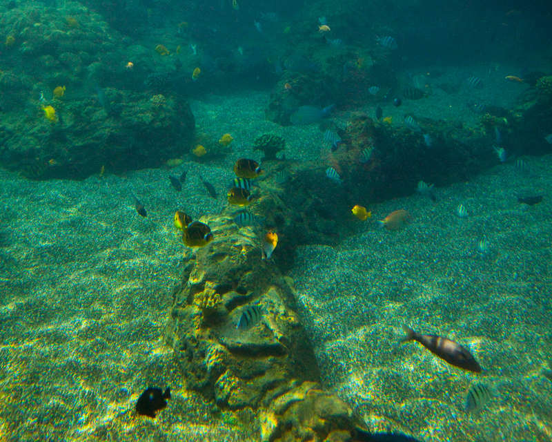 IMG_6923x