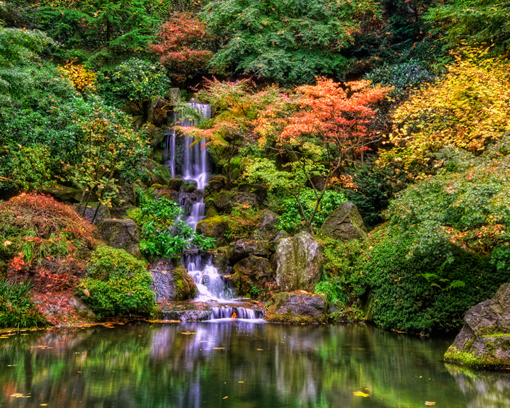 Japanese Gardens