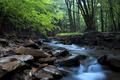 Mountain Stream