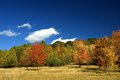 Autumn in the Northern Forest