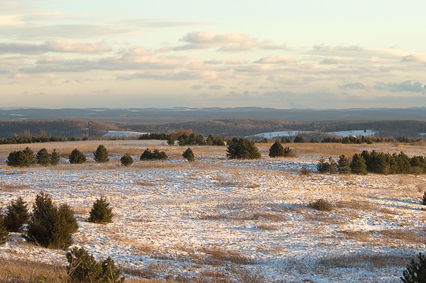 DSC_0020 a.jpg
