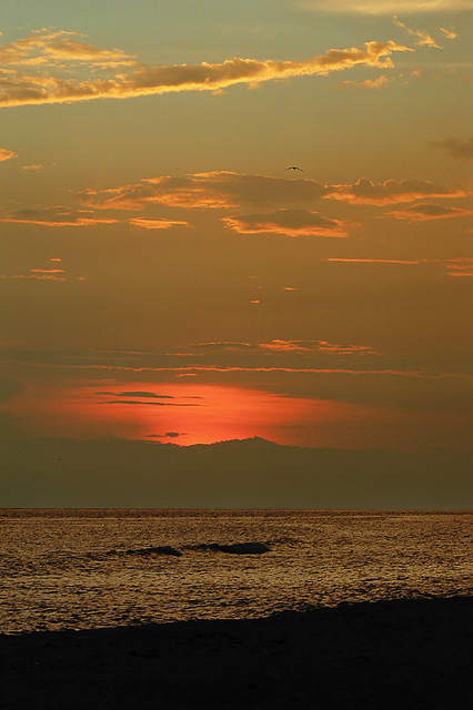 Panama City Beach, FL