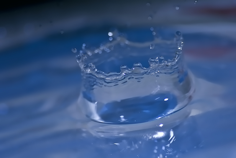 Splash