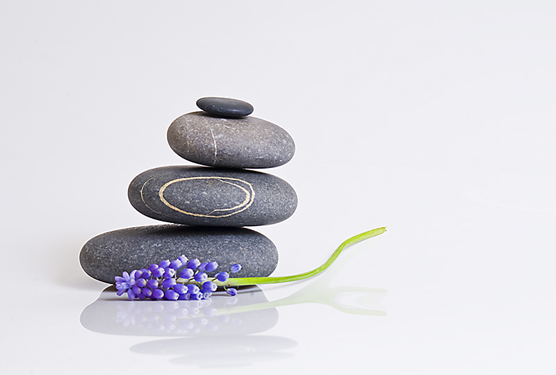 The Gift of Zen