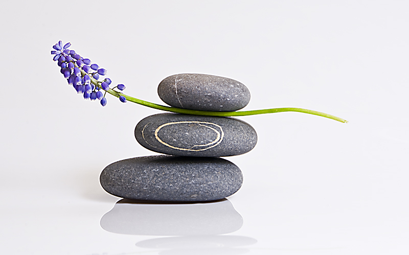 The Gift of Zen 