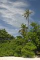 Paradise