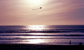 Simple Pleasures