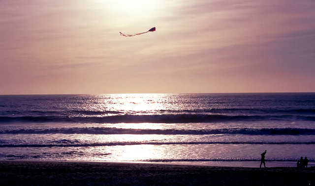 Simple Pleasures