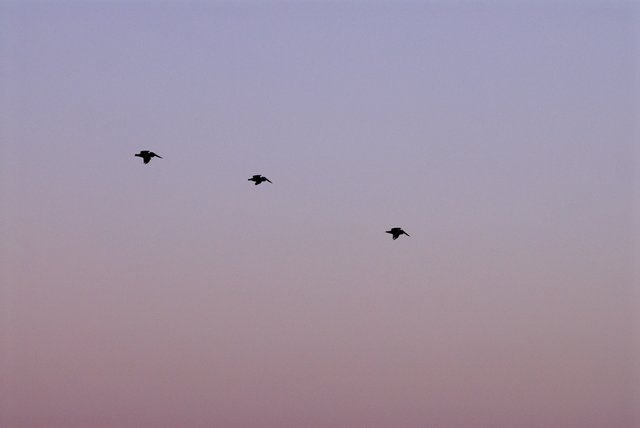 70_200_Test-0021.jpg