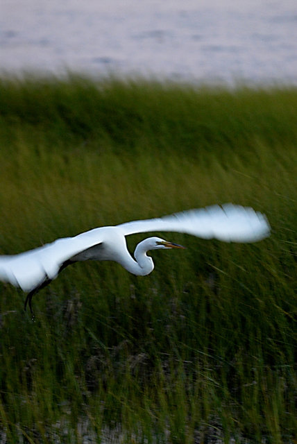 70_200_Test-0049.jpg
