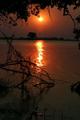 African Nightfall