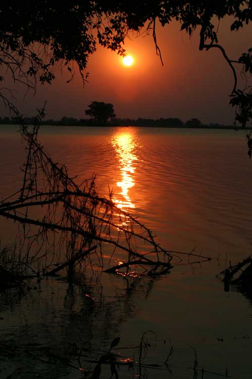 African Nightfall