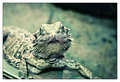 ' . substr('//images.dpchallenge.com/images_portfolio/25000-29999/28532/120/603915.jpg', strrpos('//images.dpchallenge.com/images_portfolio/25000-29999/28532/120/603915.jpg', '/') + 1) . '
