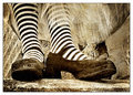 ' . substr('//images.dpchallenge.com/images_portfolio/25000-29999/28532/120/604225.jpg', strrpos('//images.dpchallenge.com/images_portfolio/25000-29999/28532/120/604225.jpg', '/') + 1) . '