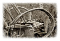 garden chair