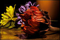 Floral Day 21
