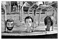 Park Play  ~18