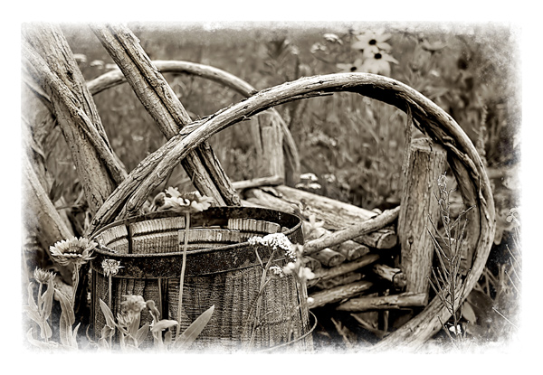 garden chair