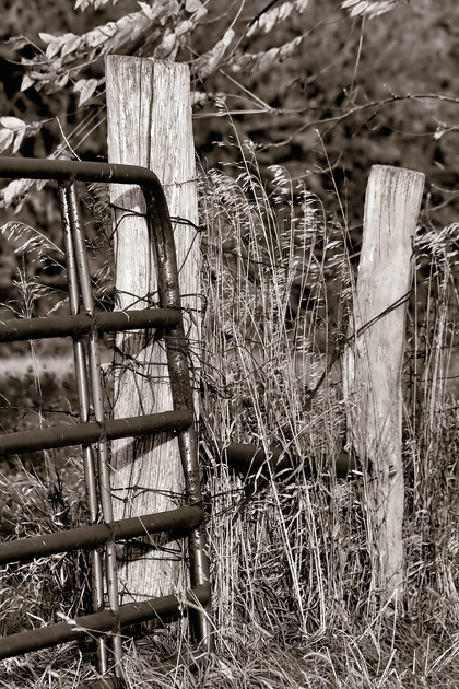 fence