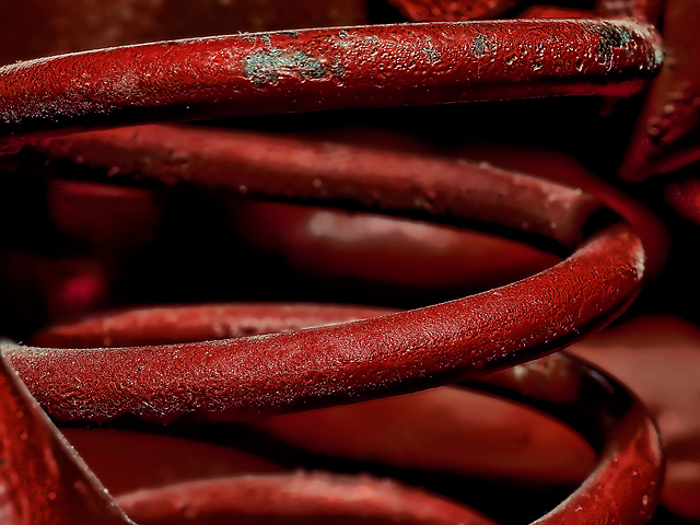 Red Spring