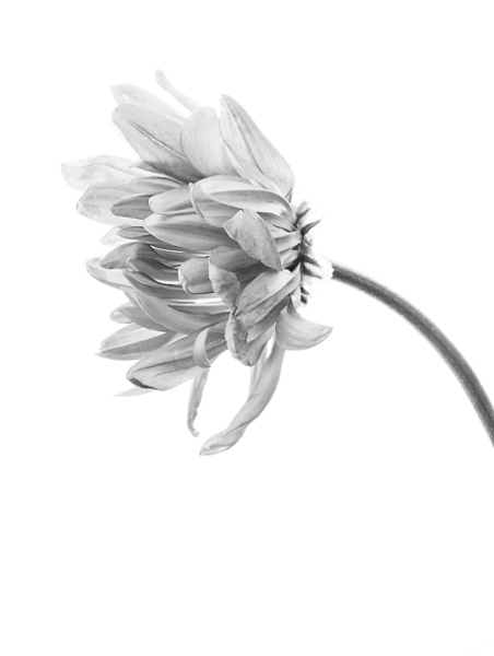 Day 25
