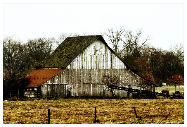 Day 29 ~The Backside Of A Barn~