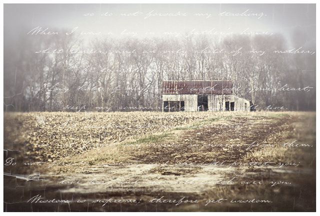 Old Shed