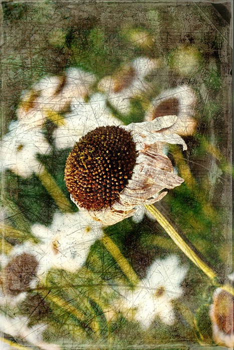 ~~~