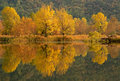 Autumn Reflections