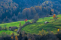 Autumn Colors