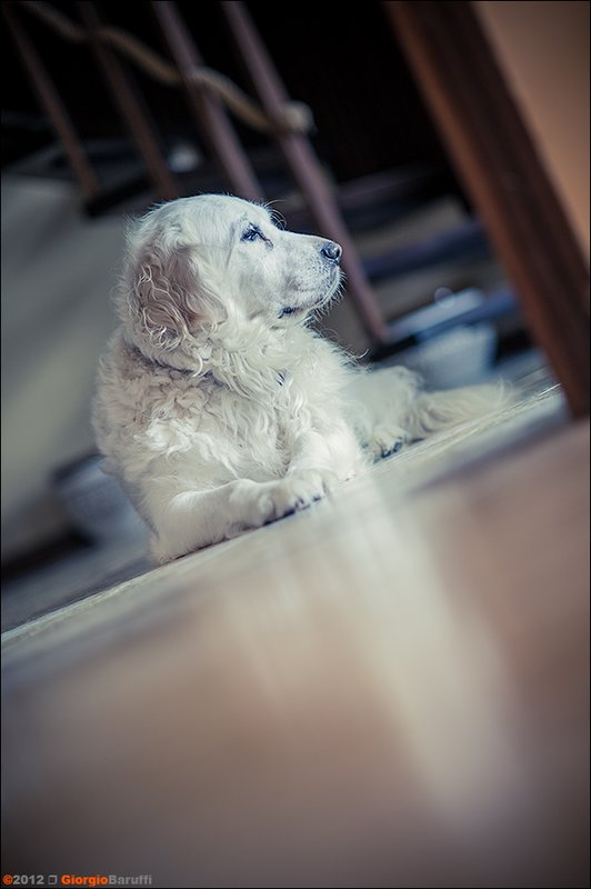 my lovely Maffy
