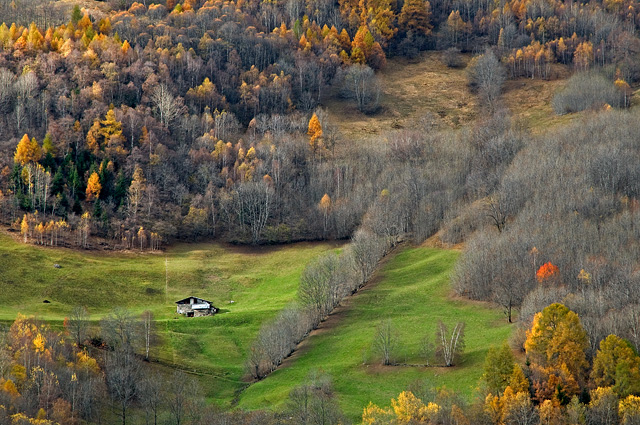 Autumn Colors