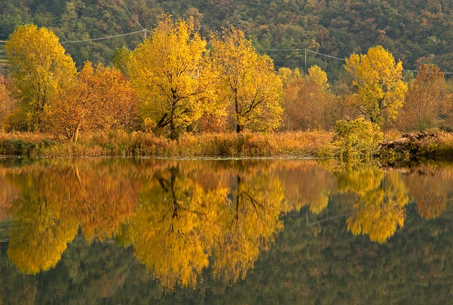 Autumn Reflections